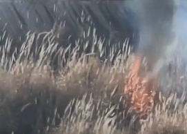 【视频】刚刚！绵阳安昌河堤下杂草被引燃！十几分钟烧了一大片，大家注意防火啊。