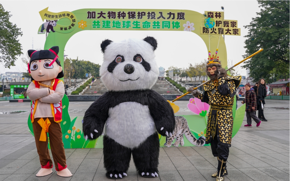 绵阳市林业局举办2025年野生动植物保护主题宣传活动