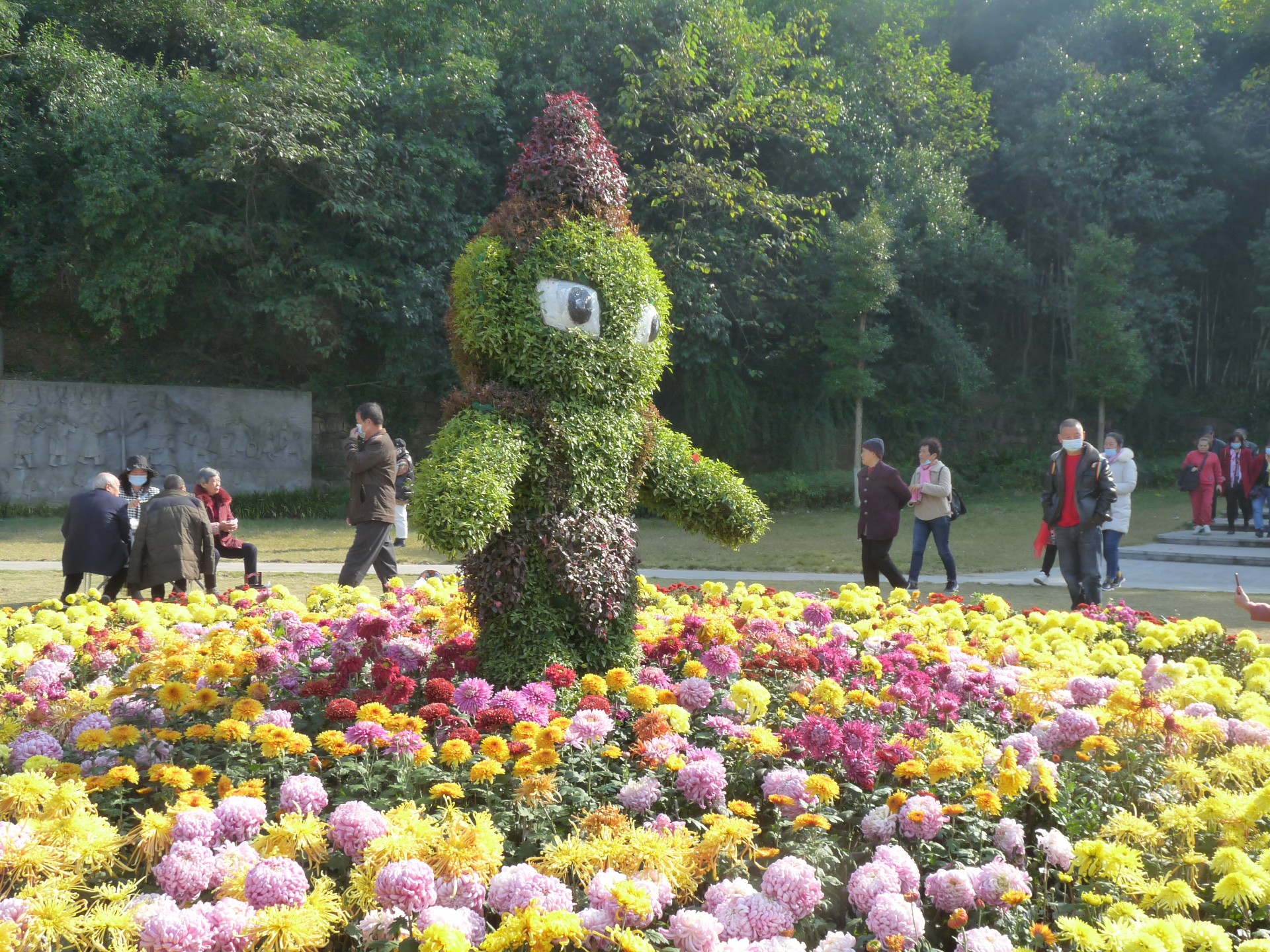 绵阳富乐山菊展里的菊花好美啊蜀友们都来看过了吗